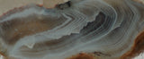 Botswana banded lapidary face cut slab agate 0.8 oz  (23 grams) - radiantrocksct