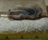 Botswana banded lapidary face cut slab agate 0.8 oz  (23 grams) - radiantrocksct
