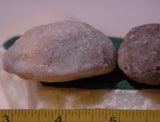 Botswana banded agates 6.6 oz (185 grams) 3 lapidary nodules - radiantrocksct