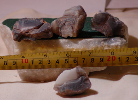 Botswana banded agates 5.2 oz (145 grams) 4 lapidary pieces - radiantrocksct
