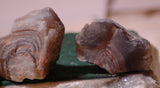 Botswana banded agates 5.2 oz (145 grams) 4 lapidary pieces - radiantrocksct