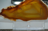 Brazilian Agate  slab 3.8 oz (115 grams)
