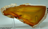Brazilian Agate  slab 3.8 oz (115 grams)