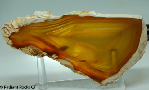 Brazilian Agate  slab 3.8 oz (115 grams)