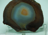 Brazilian Banded Agate Lapidary Slab - Radiant Rocks CT