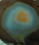 Brazilian Banded Agate Lapidary Slab - Radiant Rocks CT