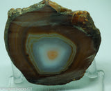 Brazilian Banded Agate Lapidary Slab - Radiant Rocks CT