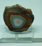 Brazilian Banded Agate Lapidary Slab - Radiant Rocks CT