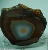 Brazilian Banded Agate Lapidary Slab - Radiant Rocks CT