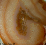 Brazilian Agate Slab - Radiant Rocks CT