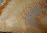 Brazilian Agate Slab - Radiant Rocks CT