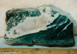 Brazilian Tree Agate  lapidary slab 2.4 oz  (67 grams) measuring  - Radiant Rocks CT
