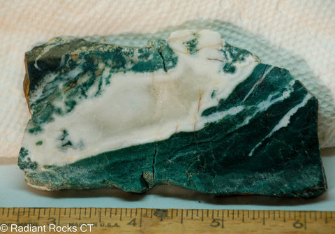 Brazilian Tree Agate  lapidary slab 2.4 oz  (67 grams) measuring  - Radiant Rocks CT
