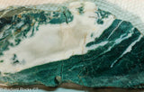 Brazilian Tree Agate  lapidary slab 2.4 oz  (67 grams) measuring  - Radiant Rocks CT