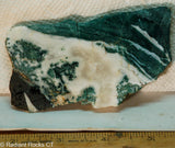 Brazilian Tree Agate  lapidary slab 2.4 oz  (67 grams) measuring  - Radiant Rocks CT