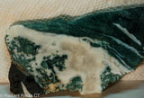 Brazilian Tree Agate  lapidary slab 2.4 oz  (67 grams) measuring  - Radiant Rocks CT