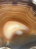 Brazilian Agate  slab 6.2 oz (170 grams) - radiantrocksct