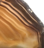 Brazilian Agate  slab 6.2 oz (170 grams) - radiantrocksct