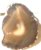 Brazilian Agate  slab 6.2 oz (170 grams) - radiantrocksct