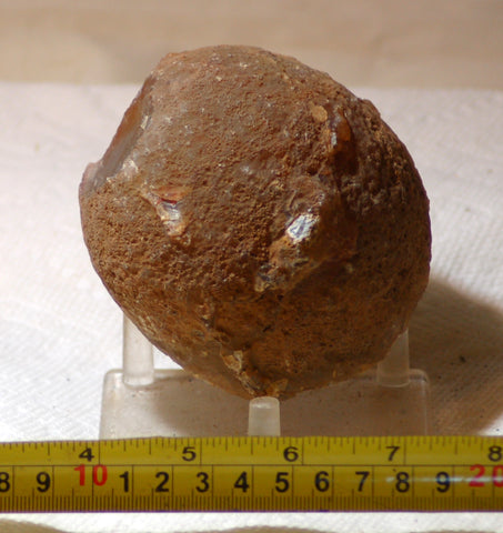 Piranha Brazilian Banded Agate rough ~1.2 lbs (578 grams) - radiantrocksct