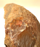 Piranha Brazilian Banded Agate rough ~1.2 lbs (578 grams) - radiantrocksct