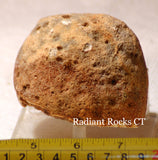 Piranha Brazilian Banded Agate rough ~1 lb (465 grams) - radiantrocksct