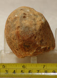 Piranha Brazilian Banded Agate rough ~1 lb (465 grams) - radiantrocksct