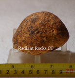 Piranha Brazilian Banded Agate rough ~12.8 oz (363 grams) - radiantrocksct