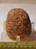 Piranha Brazilian Banded Agate rough ~12.8 oz (363 grams) - radiantrocksct