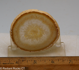 Brazilian Agate round slab - RadiantRocksCT