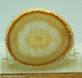Brazilian Agate round slab - RadiantRocksCT