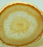 Brazilian Agate round slab - RadiantRocksCT