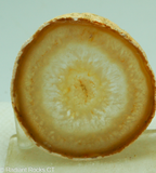 Brazilian Agate round slab - RadiantRocksCT