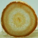 Brazilian Agate round slab - RadiantRocksCT