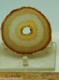 Brazilian Agate round slab - Radiant Rocks CT