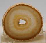 Brazilian Agate round slab - Radiant Rocks CT