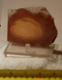 Bruneau Jasper Lapidary Cabochon Slab 3.2 oz (90 grams) - radiantrocksct