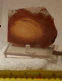Bruneau Jasper Lapidary Cabochon Slab 3.2 oz (90 grams) - radiantrocksct