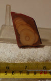 Bruneau Jasper Lapidary Cabochon Slab 1 oz (30 grams) - radiantrocksct