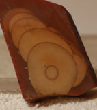 Bruneau Jasper Lapidary Cabochon Slab 1 oz (30 grams) - radiantrocksct