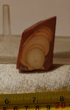 Bruneau Jasper Lapidary Cabochon Slab 1 oz (30 grams) - radiantrocksct