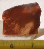 Bruneau Jasper Lapidary Cabochon Slab 0.8 oz (20 grams) - radiantrocksct