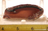 Bruneau Jasper Lapidary Cabochon Slab 1.0 oz (30 grams) - radiantrocksct