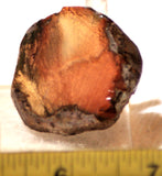 Bruneau Jasper Lapidary Cabochon heel Slab 1.2 oz (35 grams) - radiantrocksct