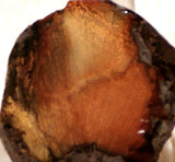 Bruneau Jasper Lapidary Cabochon heel Slab 1.2 oz (35 grams) - radiantrocksct