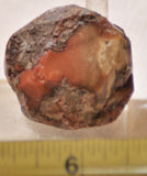 Bruneau Jasper Lapidary Cabochon heel Slab 1.2 oz (35 grams) - radiantrocksct