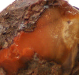 Bruneau Jasper Lapidary Cabochon heel Slab 1.2 oz (35 grams) - radiantrocksct