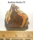 Bruneau Jasper Lapidary Cabochon Slab 1.2 oz (35 gram) - radiantrocksct