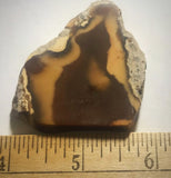 Bruneau Jasper Lapidary Cabochon Slab 1.2 oz (35 gram) - radiantrocksct