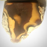 Bruneau Jasper Lapidary Cabochon Slab 1.2 oz (35 gram) - radiantrocksct